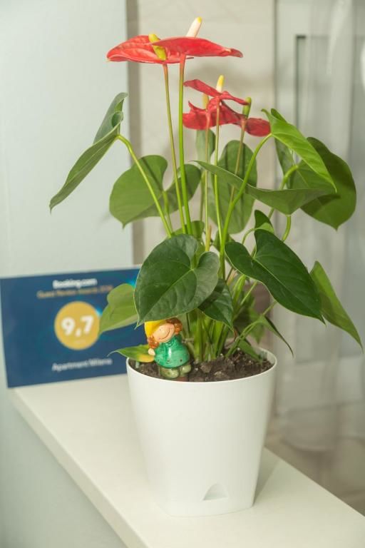 Апартаменты Apartment Milena Вирпазар