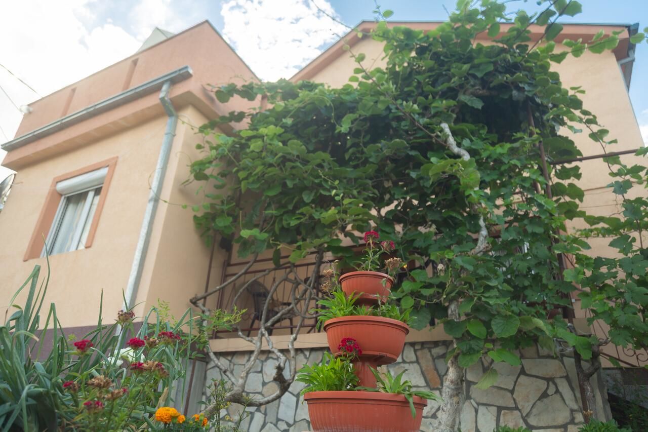 Апартаменты Apartment Milena Вирпазар