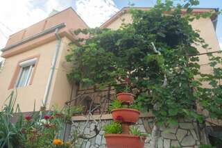 Апартаменты Apartment Milena Вирпазар Апартаменты-31